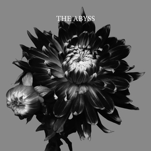 【初回限定盤(CD+M∞CARD)】THE ABYSS