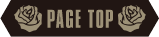 PAGE TOP